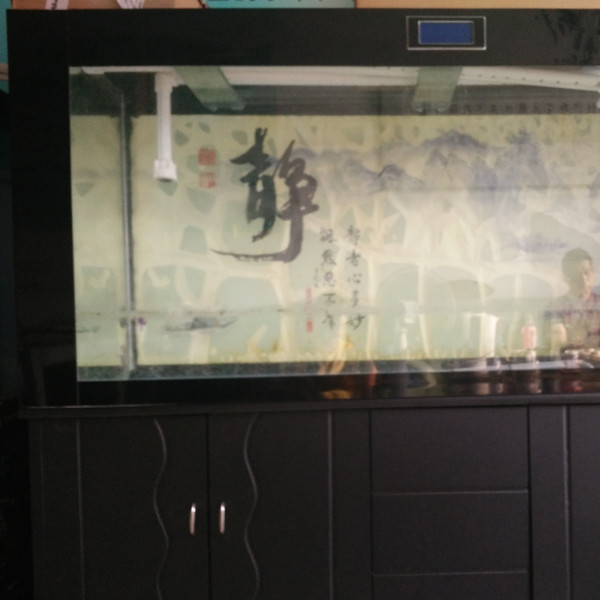 鋼琴、魚缸專運現(xiàn)場
